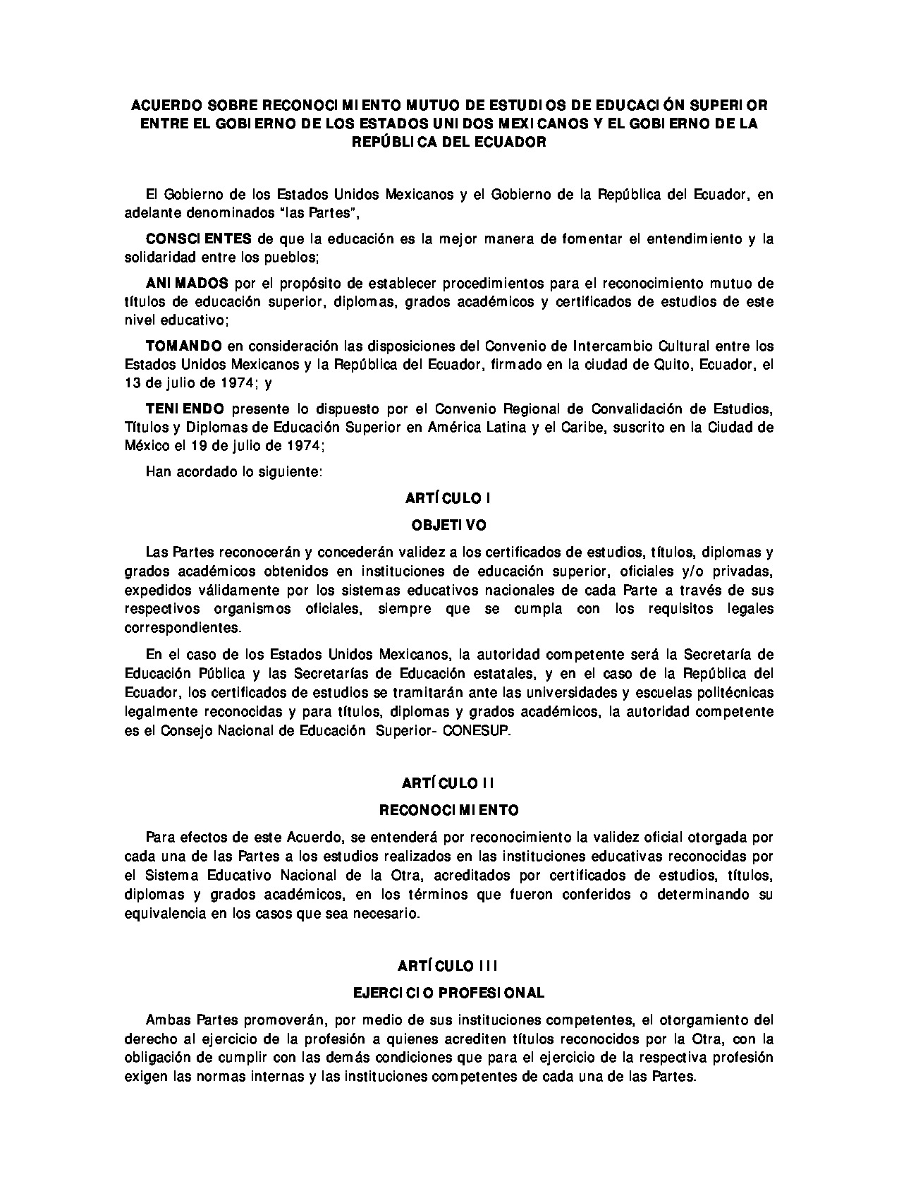 Preview archivo adjunto